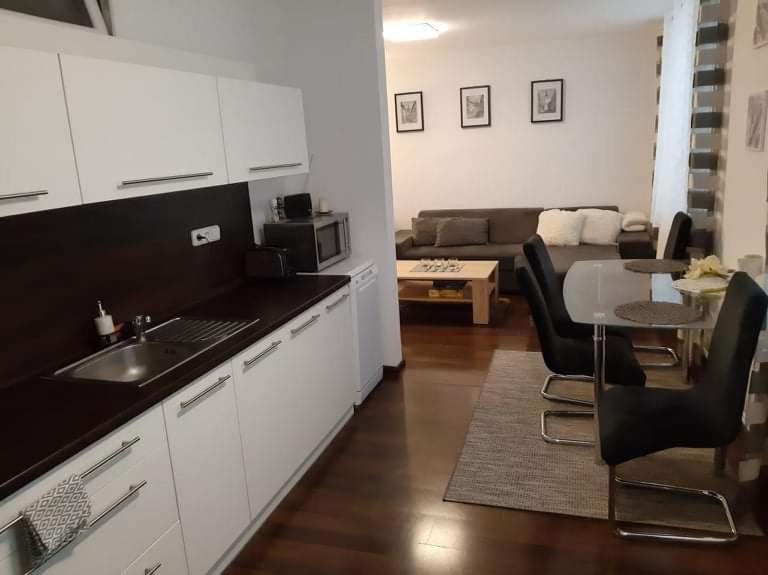 Apartment Pod Hradem *